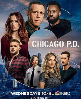 芝加哥警署第八季图片