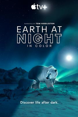 夜色中的地球第二季图片