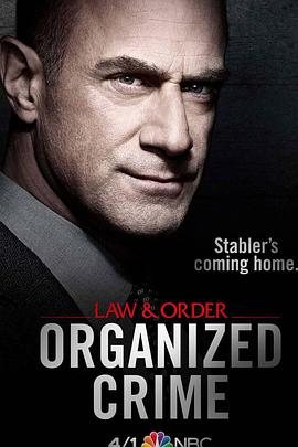 法律与秩序：组织犯罪第一季图片