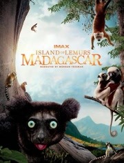 马达加斯加：狐猴之岛图片