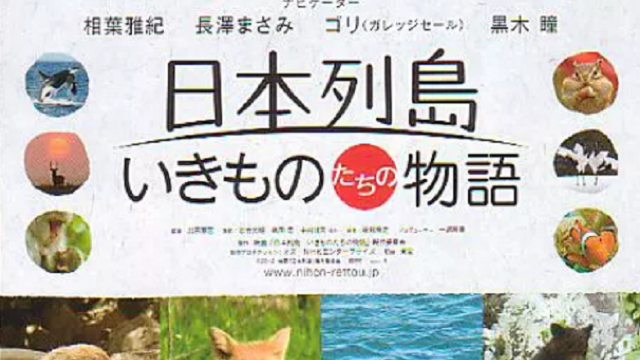 日本列岛 动物物语图片