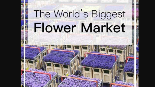 世界上最大的鲜花市场图片