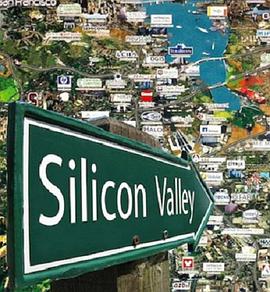 硅谷的秘密图片