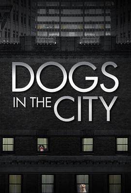 狗狗在都市第一季图片