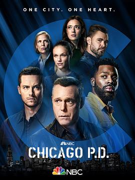 芝加哥警署第九季图片