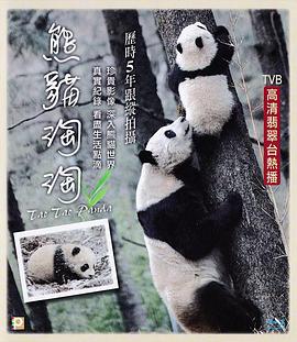 熊猫淘淘图片