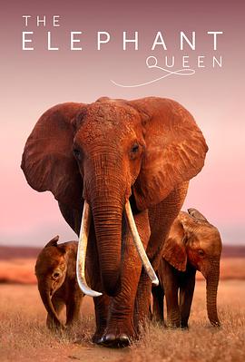 大象女王图片