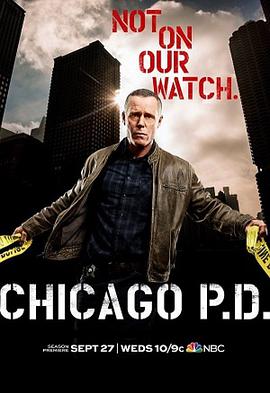 芝加哥警署第五季图片