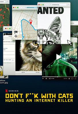 猫不可杀不可辱网络杀手大搜捕图片