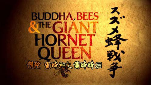 BBC佛陀、蜜蜂和大黄蜂蜂后图片