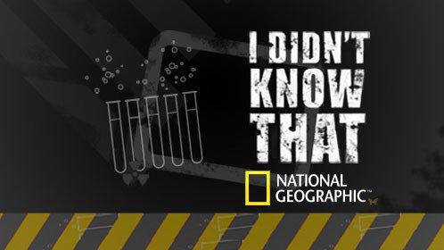 国家地理《你不知道的事》图片