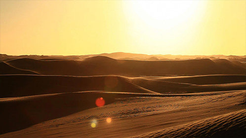 纳米比亚变色龙沙漠图片