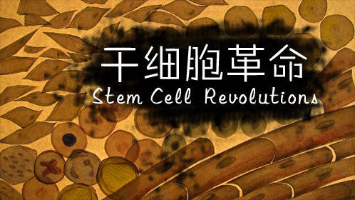 干细胞革命图片