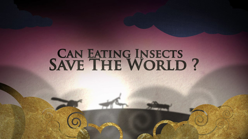 吃昆虫能拯救世界吗？图片
