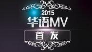 2015 华语MV