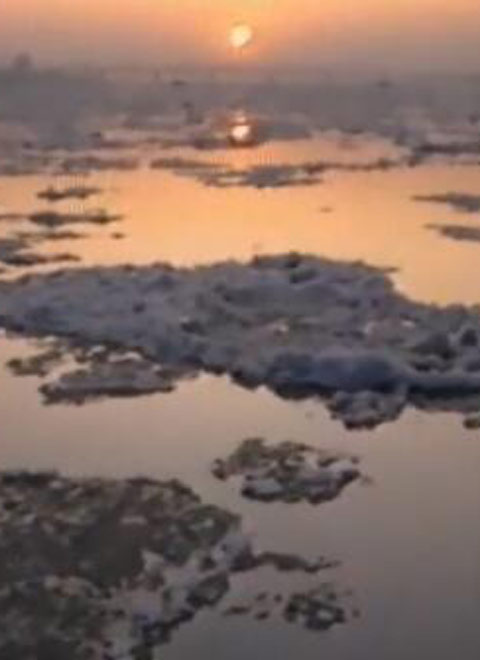 松花江的黎明图片