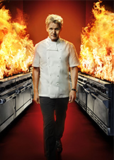 地狱厨房 第14季图片