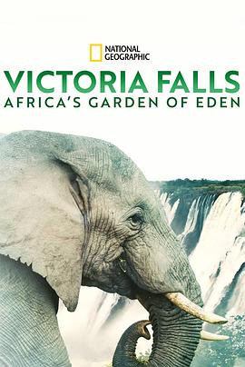 维多利亚瀑布：非洲的伊甸园图片