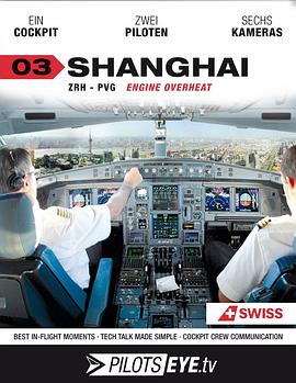飞行员之眼：上海图片