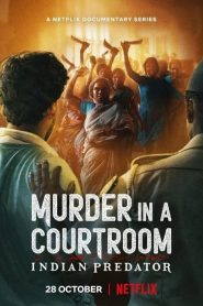 印度连环杀手档案：法庭私刑图片