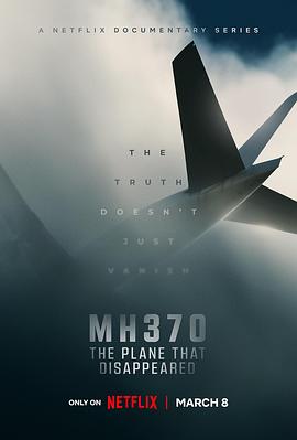 MH370：消失的航班图片
