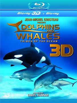 海豚和鲸鱼3D图片