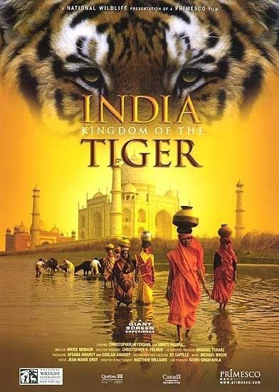 印度老虎王国图片