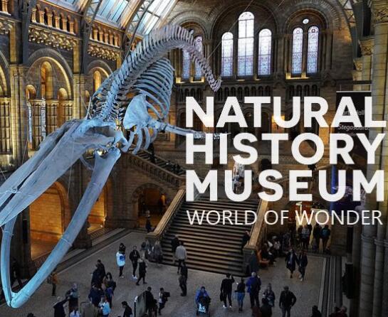 英国自然历史博物馆神奇世界第一季图片