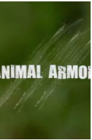 动物自卫术粤语版图片