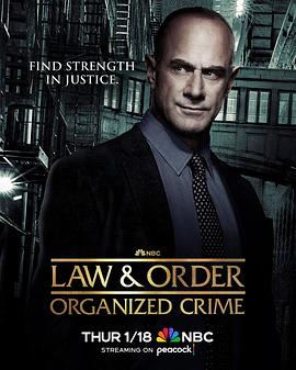 法律与秩序：组织犯罪第四季图片